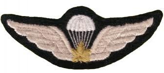 Canadian_Parachute_Wings_Second_World_War.jpg