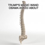 Trump's Magic Wand.jpg