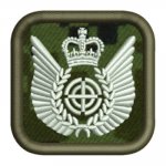 Flight Crew (Tac Hel Door Gunner) badge.jpg