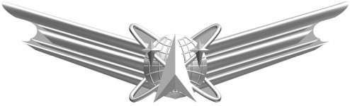 Space Operations badge.jpg