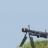Genetk44