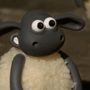 1674518357235.gif