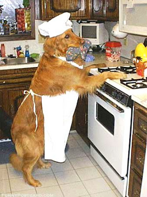 Dog+Cooking.jpg