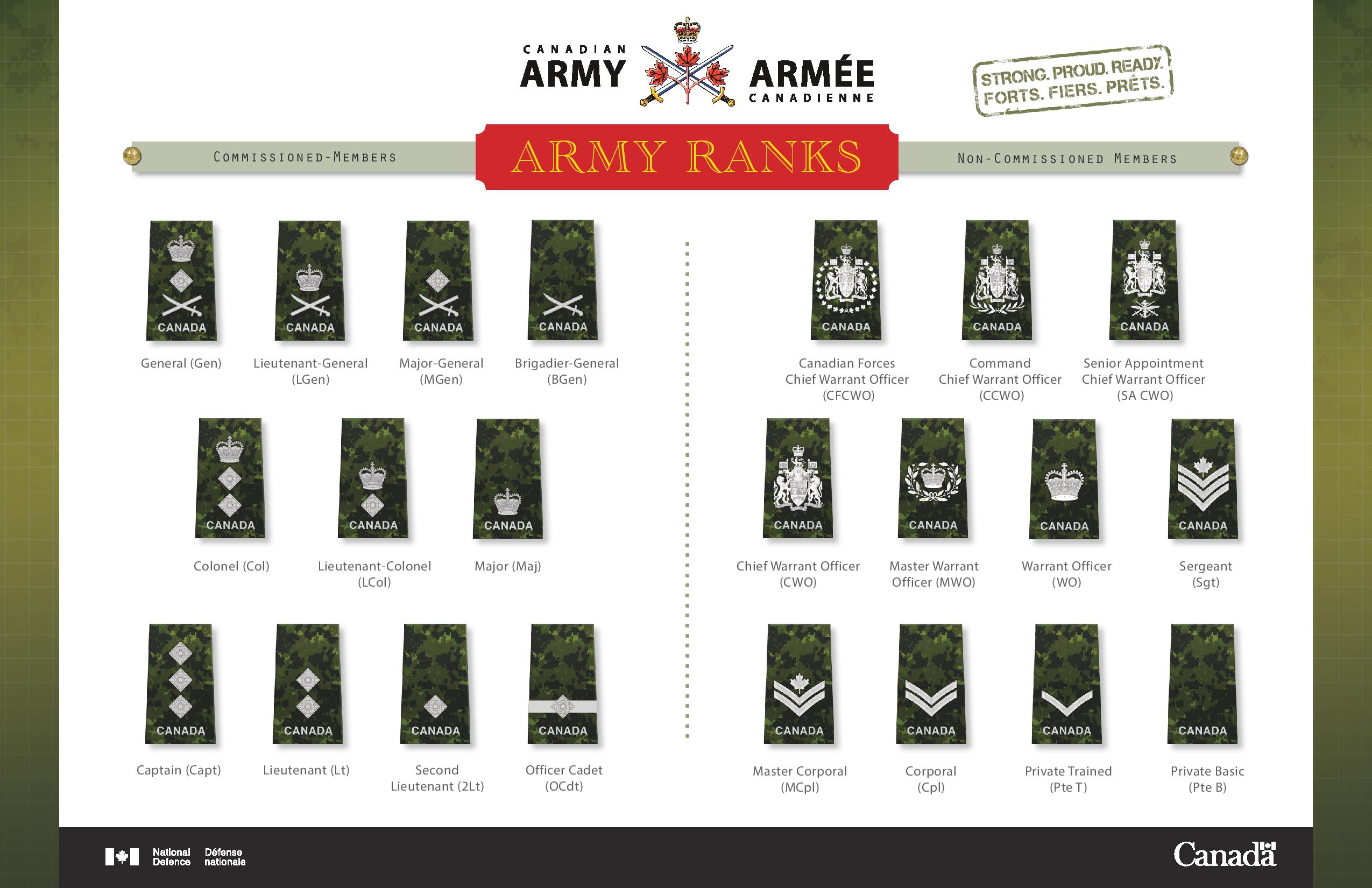 Canadian Army Ranks 08 Dec 2014.jpg