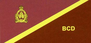 Camp Flag BCD Low Res.jpg