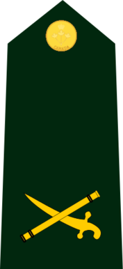 File:Cdn-Army-BGen-2015.svg