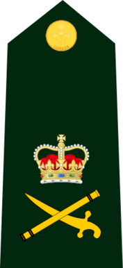 File:Cdn-Army-LGen-2015.svg